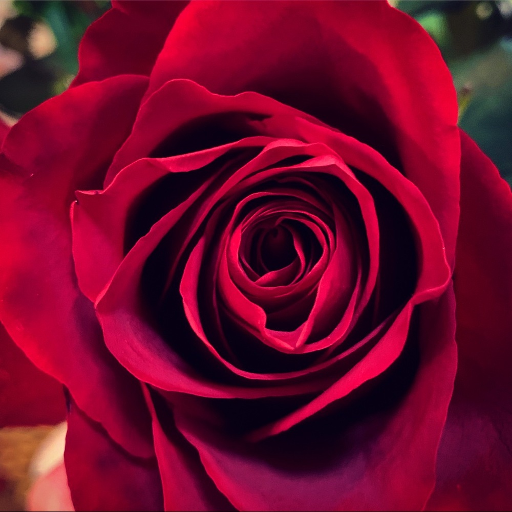 Meet your Posher, Susan